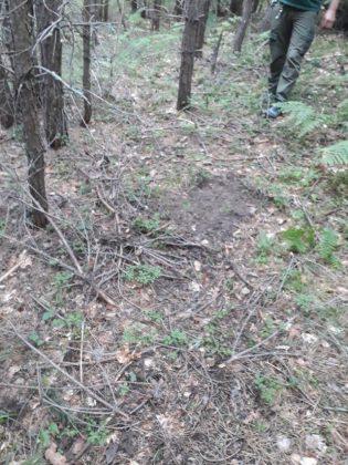 Зам.-министър Тончева и експерти посетиха Белица, където мечка нападна жена