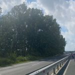 Черноморец-Созопол