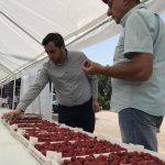 Георги Събев