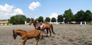 Конна база, Тракийски университет