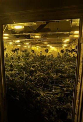 Разкрита е нарколаборатория в Троян