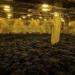 Разкрита е нарколаборатория в Троян