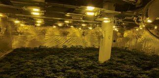 Разкрита е нарколаборатория в Троян