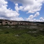 Животновъдни обекти в Медвен