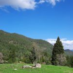 Местност "Куртлуджа"