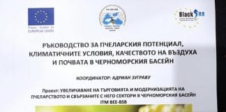 Ръководство, пчелари