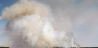 Пожар, ниви