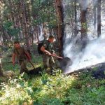 Пожар край Свиленград