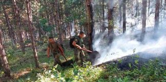 Пожар край Свиленград