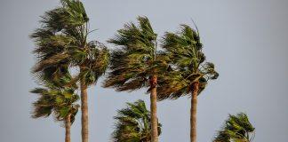 Тропическа буря