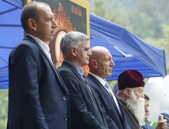 Стефан Янев