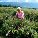 198880643 2978936625683731 5739763304199913715 n