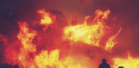 Горски пожари