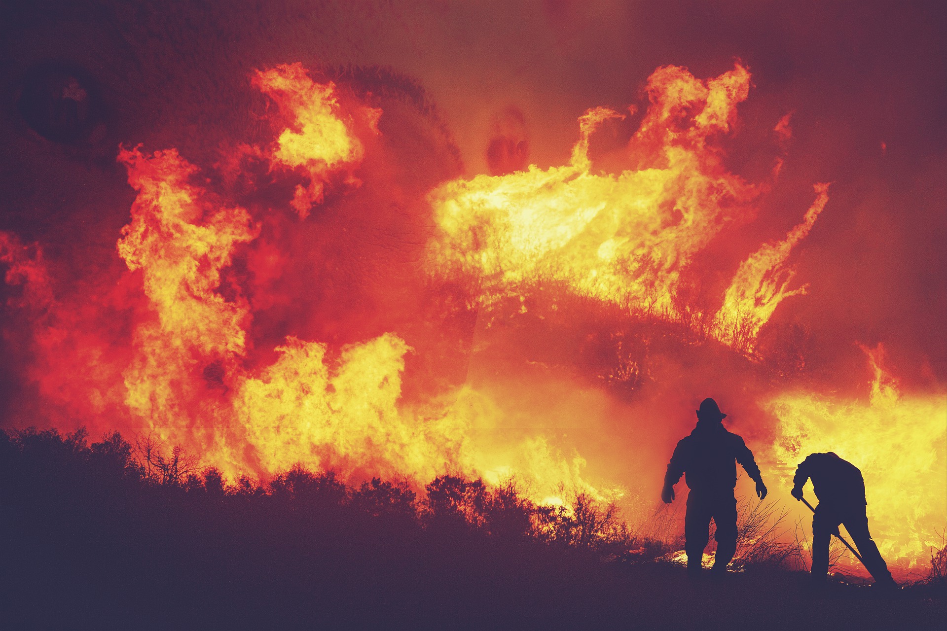 Голям пожар гори в защитената местност Калимок Бръшлен край Русе На