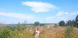 Гробищен парк в Алфатар