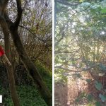 И на знамето посегнаха!