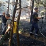 Пожар в Карловско