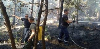 Пожар в Карловско