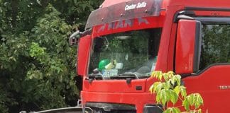 Катастрофа в Разградско