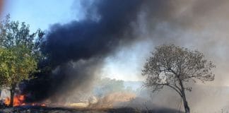 Нерегламентирано палене на гуми