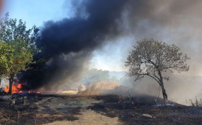 Нерегламентирано палене на гуми