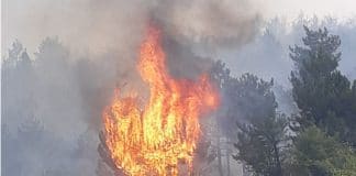 Пожар край Велинград