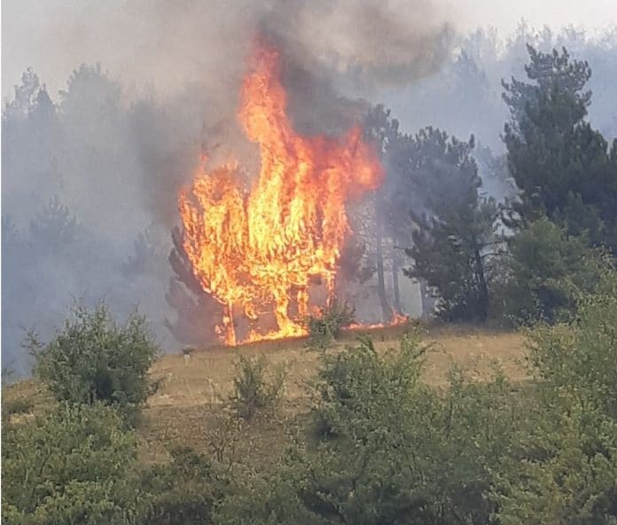 Пожар край Велинград