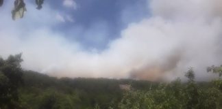 Пожар в Стара планина