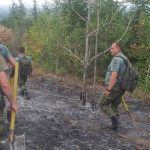 Пожар в Хисаря