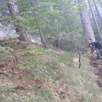 Пожар над село Югово