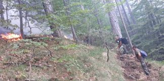 Пожар над село Югово