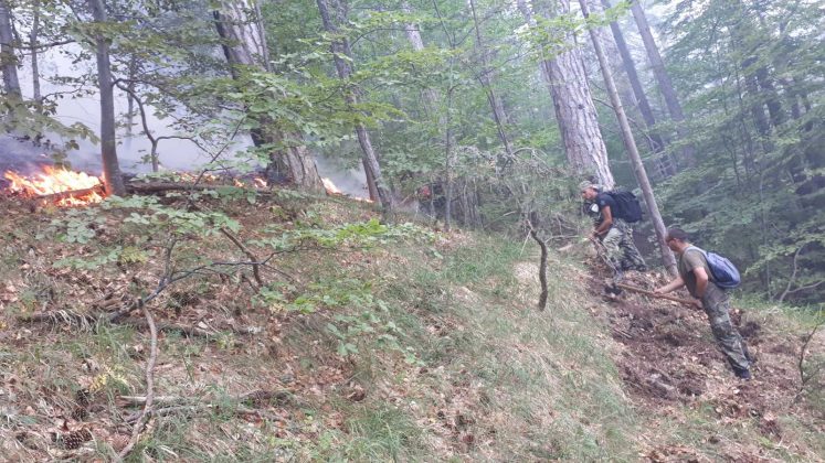 Пожар над село Югово