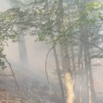 Пожар над село Югово