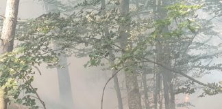 Пожар над село Югово