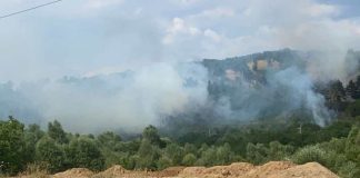 Пожар край Свиленград