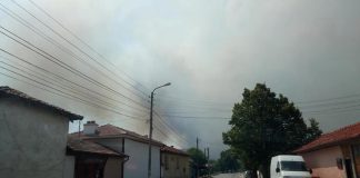 Пожар край Старосел