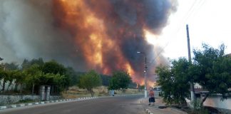 Пожар край Старосел