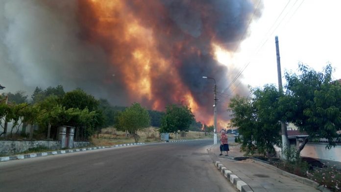 Пожар край Старосел