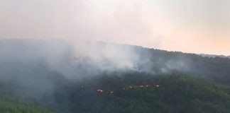 Пожар в Перник