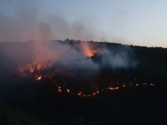 Пожар в Перник