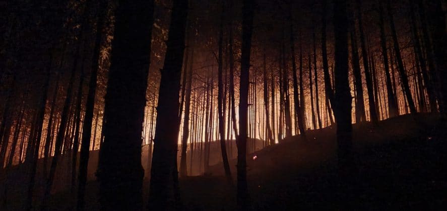 Пожар в Перник