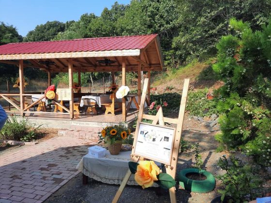 Новата беседка