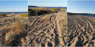 Следи от АТВ по плажа