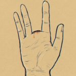 Среден пръст