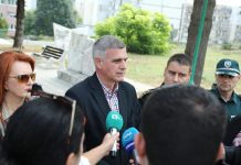 Стефан Янев