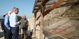 Стефан Янев