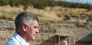 Стефан Янев