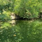 Река Ропотамо