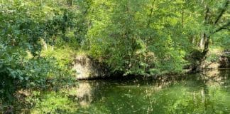 Река Ропотамо