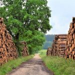 Дърва за огрев